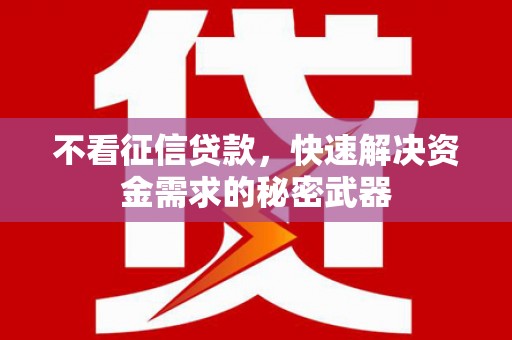 卑南不看征信贷款，快速解决资金需求的秘密武器