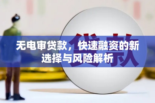 卑南无电审贷款，快速融资的新选择与风险解析