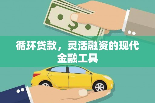 卑南循环贷款，灵活融资的现代金融工具