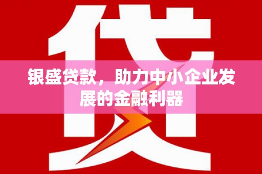 卑南银盛贷款，助力中小企业发展的金融利器