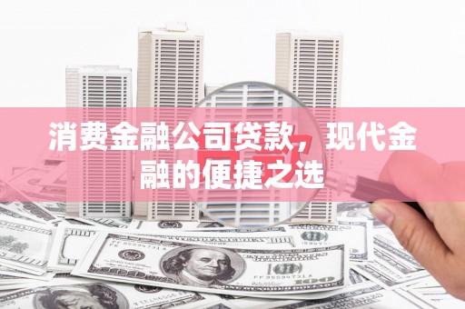 卑南消费金融公司贷款，现代金融的便捷之选