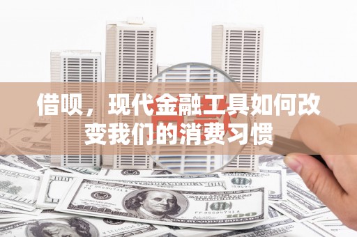 卑南借呗，现代金融工具如何改变我们的消费习惯