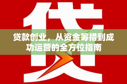 卑南贷款创业，从资金筹措到成功运营的全方位指南