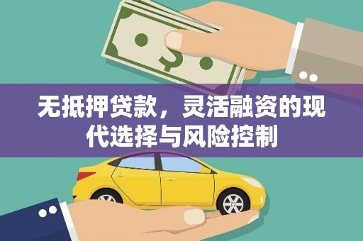 卑南无抵押贷款，灵活融资的现代选择与风险控制