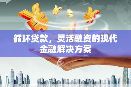 卑南循环贷款，灵活融资的现代金融解决方案