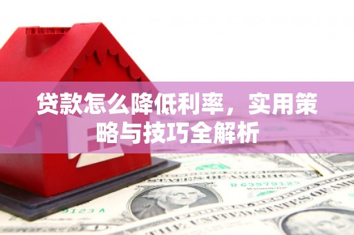 卑南贷款怎么降低利率，实用策略与技巧全解析
