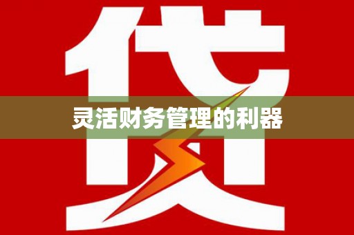 卑南灵活财务管理的利器