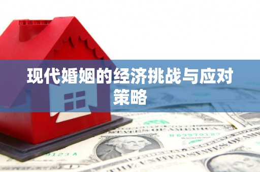卑南现代婚姻的经济挑战与应对策略