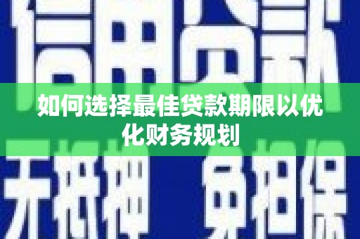 卑南如何选择最佳贷款期限以优化财务规划