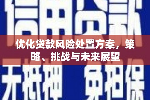 卑南优化贷款风险处置方案，策略、挑战与未来展望