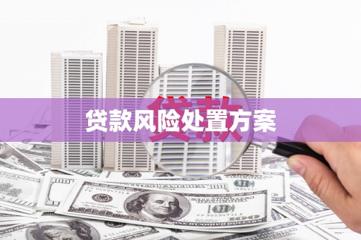 卑南贷款风险处置方案