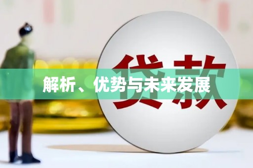卑南解析、优势与未来发展