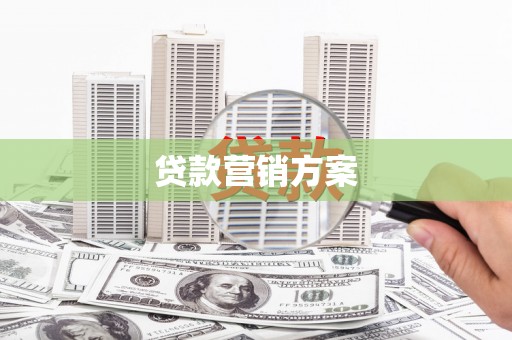卑南贷款营销方案