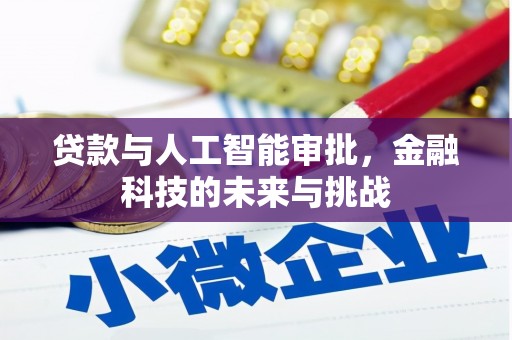 卑南贷款与人工智能审批，金融科技的未来与挑战