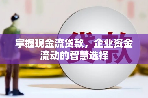 卑南掌握现金流贷款，企业资金流动的智慧选择
