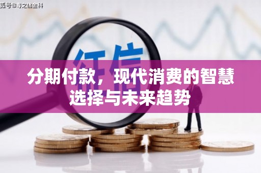 卑南分期付款，现代消费的智慧选择与未来趋势