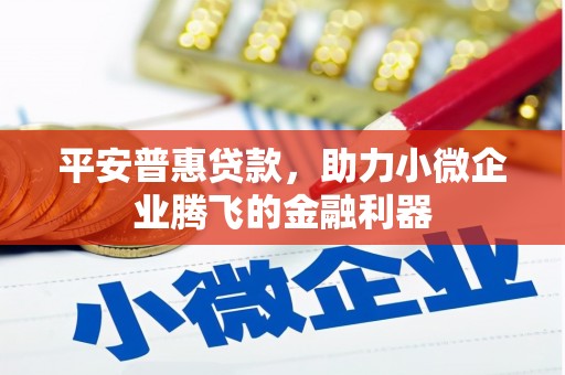 卑南平安普惠贷款，助力小微企业腾飞的金融利器