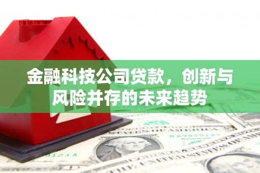 卑南金融科技公司贷款，创新与风险并存的未来趋势