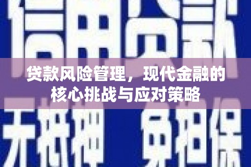 卑南贷款风险管理，现代金融的核心挑战与应对策略