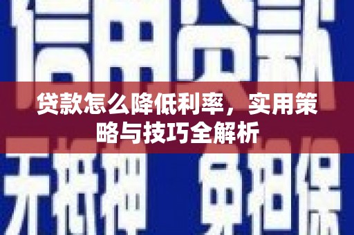卑南贷款怎么降低利率，实用策略与技巧全解析