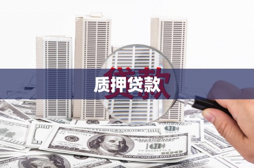 卑南质押贷款