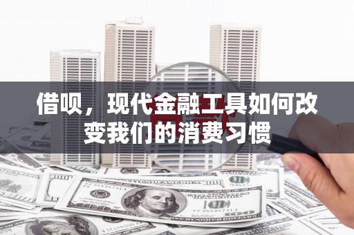 卑南借呗，现代金融工具如何改变我们的消费习惯