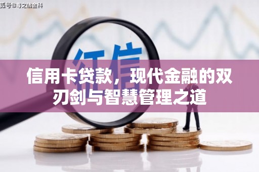 卑南信用卡贷款，现代金融的双刃剑与智慧管理之道