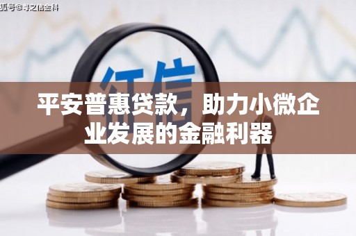 卑南平安普惠贷款，助力小微企业发展的金融利器