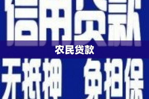 卑南农民贷款