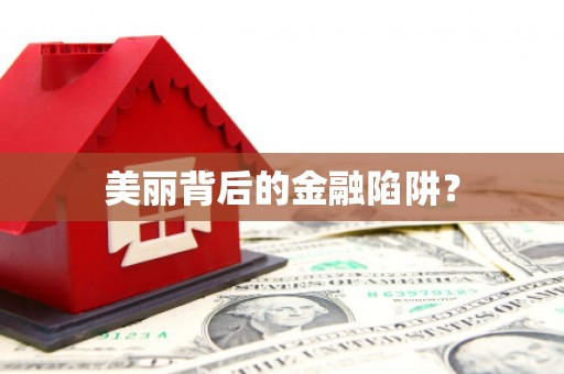 卑南美丽背后的金融陷阱？