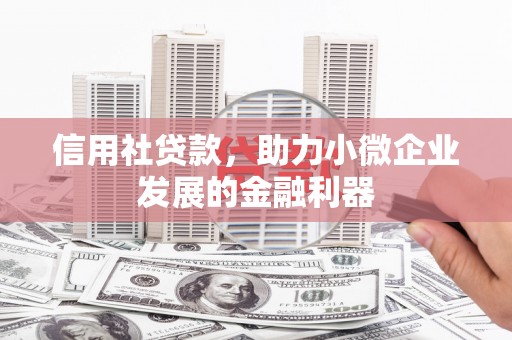 卑南信用社贷款，助力小微企业发展的金融利器