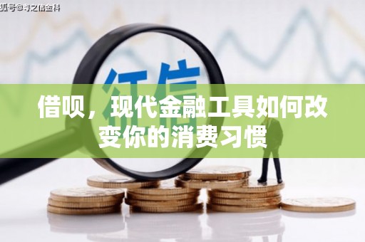 卑南借呗，现代金融工具如何改变你的消费习惯