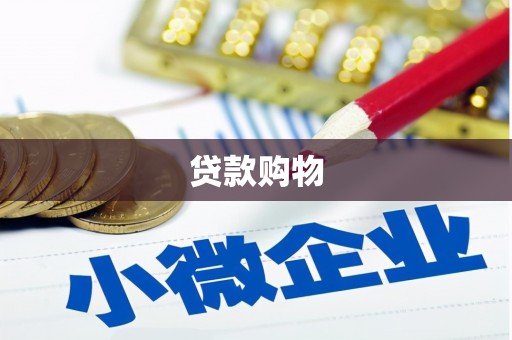 卑南贷款购物