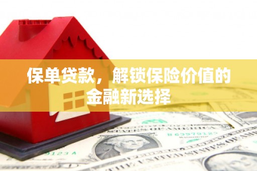 卑南保单贷款，解锁保险价值的金融新选择