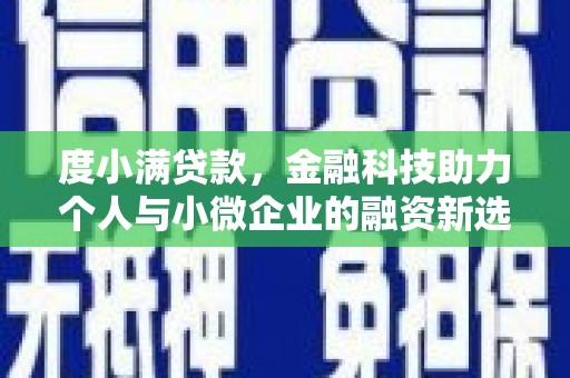 卑南度小满贷款，金融科技助力个人与小微企业的融资新选择