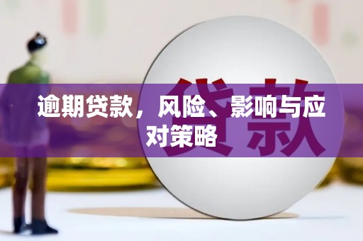 卑南逾期贷款，风险、影响与应对策略