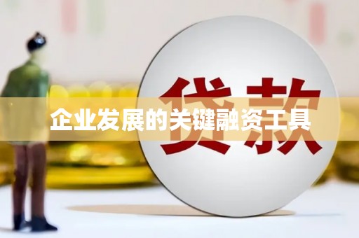 卑南企业发展的关键融资工具