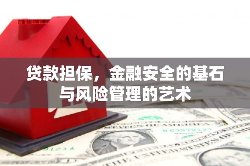卑南贷款担保，金融安全的基石与风险管理的艺术