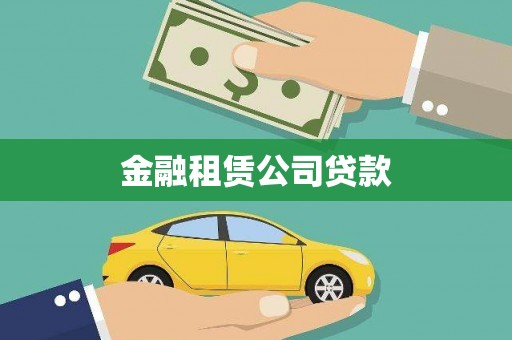 卑南金融租赁公司贷款