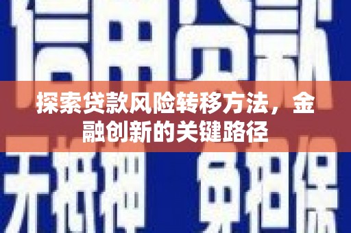 卑南探索贷款风险转移方法，金融创新的关键路径