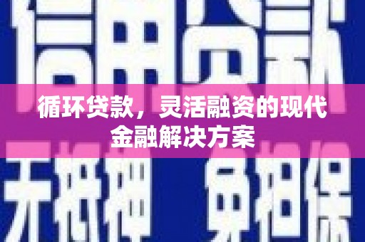 卑南循环贷款，灵活融资的现代金融解决方案