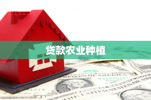 卑南贷款农业种植