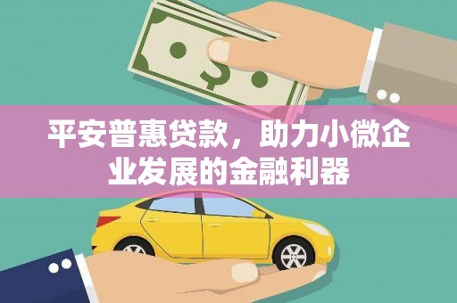 卑南平安普惠贷款，助力小微企业发展的金融利器