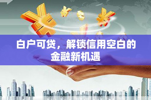 卑南白户可贷，解锁信用空白的金融新机遇