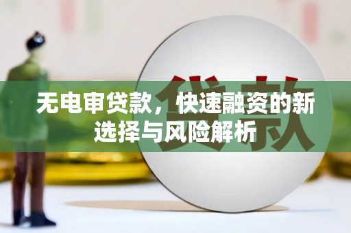 卑南无电审贷款，快速融资的新选择与风险解析