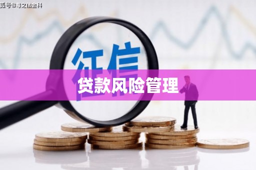 卑南贷款风险管理