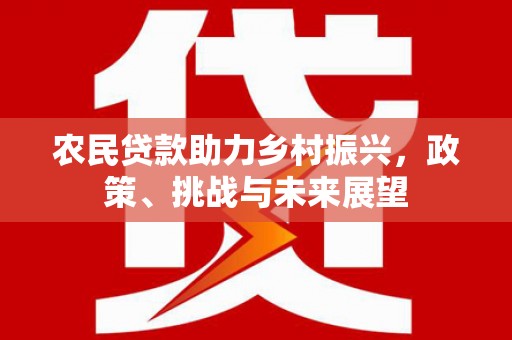 卑南农民贷款助力乡村振兴，政策、挑战与未来展望