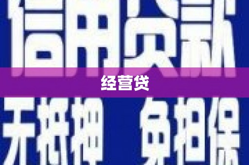 卑南经营贷