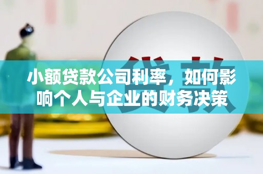 卑南小额贷款公司利率，如何影响个人与企业的财务决策