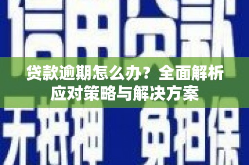 卑南贷款逾期怎么办？全面解析应对策略与解决方案